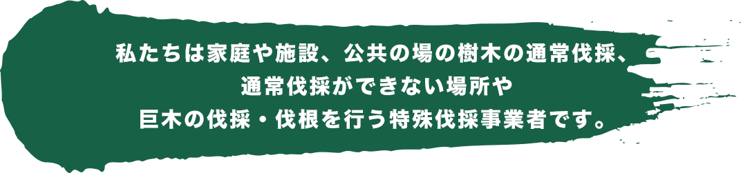 私たちは家庭や施設、公共の場の樹木の通常伐採、通常伐採ができない場所や巨木の伐採・伐根を行う特殊伐採事業者です。