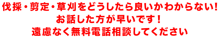 伐採・剪定・草刈をどうしたら良いかわからない! お話した方が早いです！ 遠慮なく無料電話相談してください