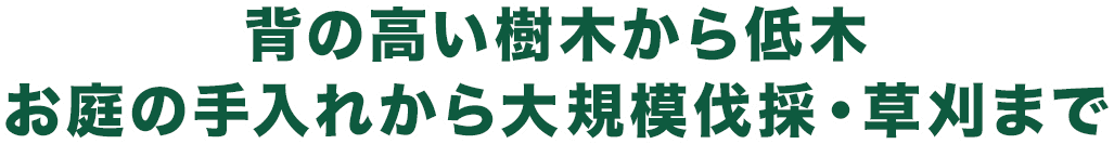 背の高い樹木から低木お庭の手入れから大規模伐採・草刈まで