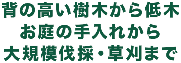 背の高い樹木から低木お庭の手入れから大規模伐採・草刈まで