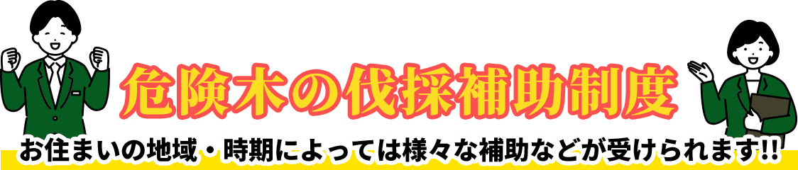 危険木の伐採補助制度お住まいの地域・時期によっては様々な補助などが受けられます!!